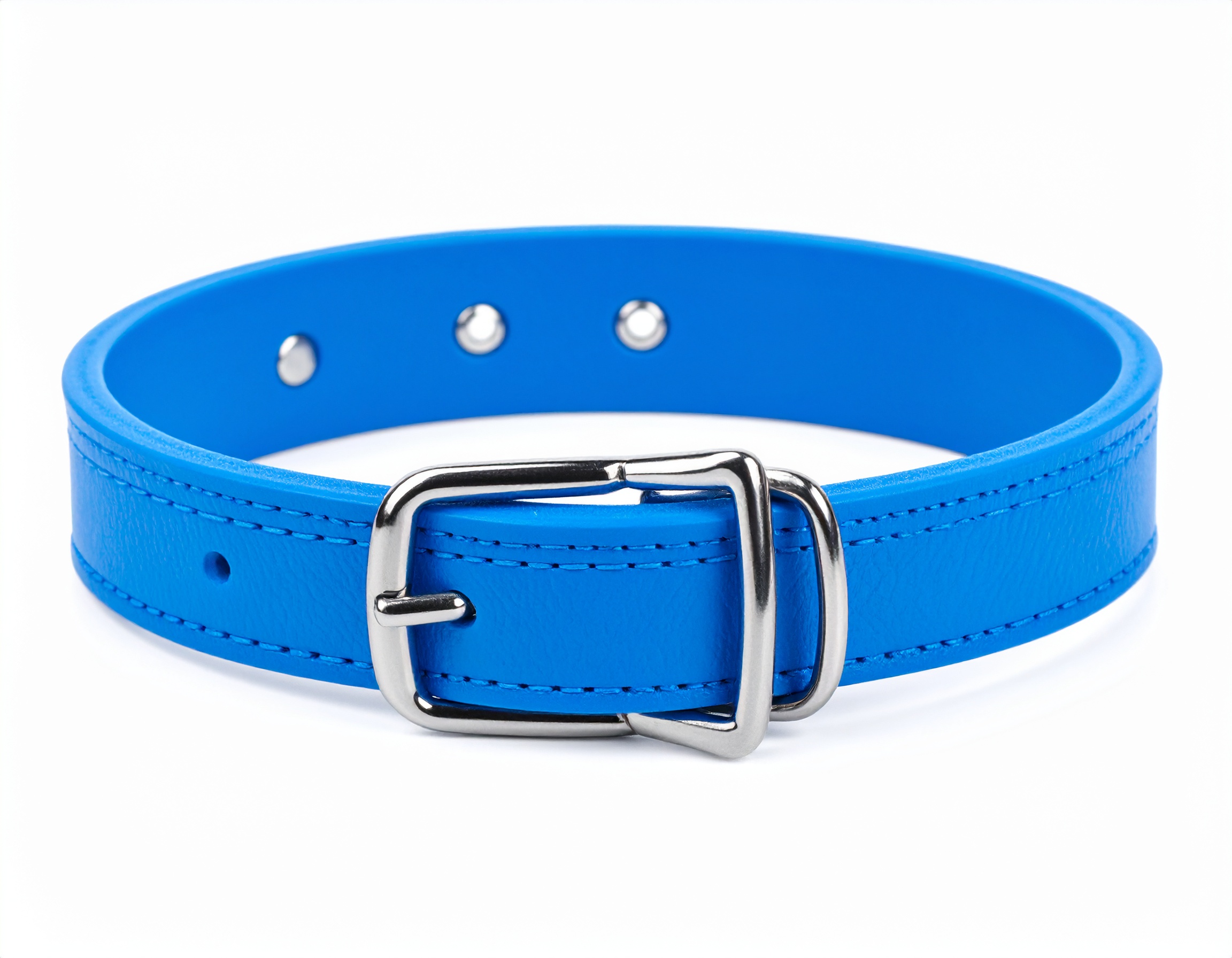 1/2" Small Buckle Collar